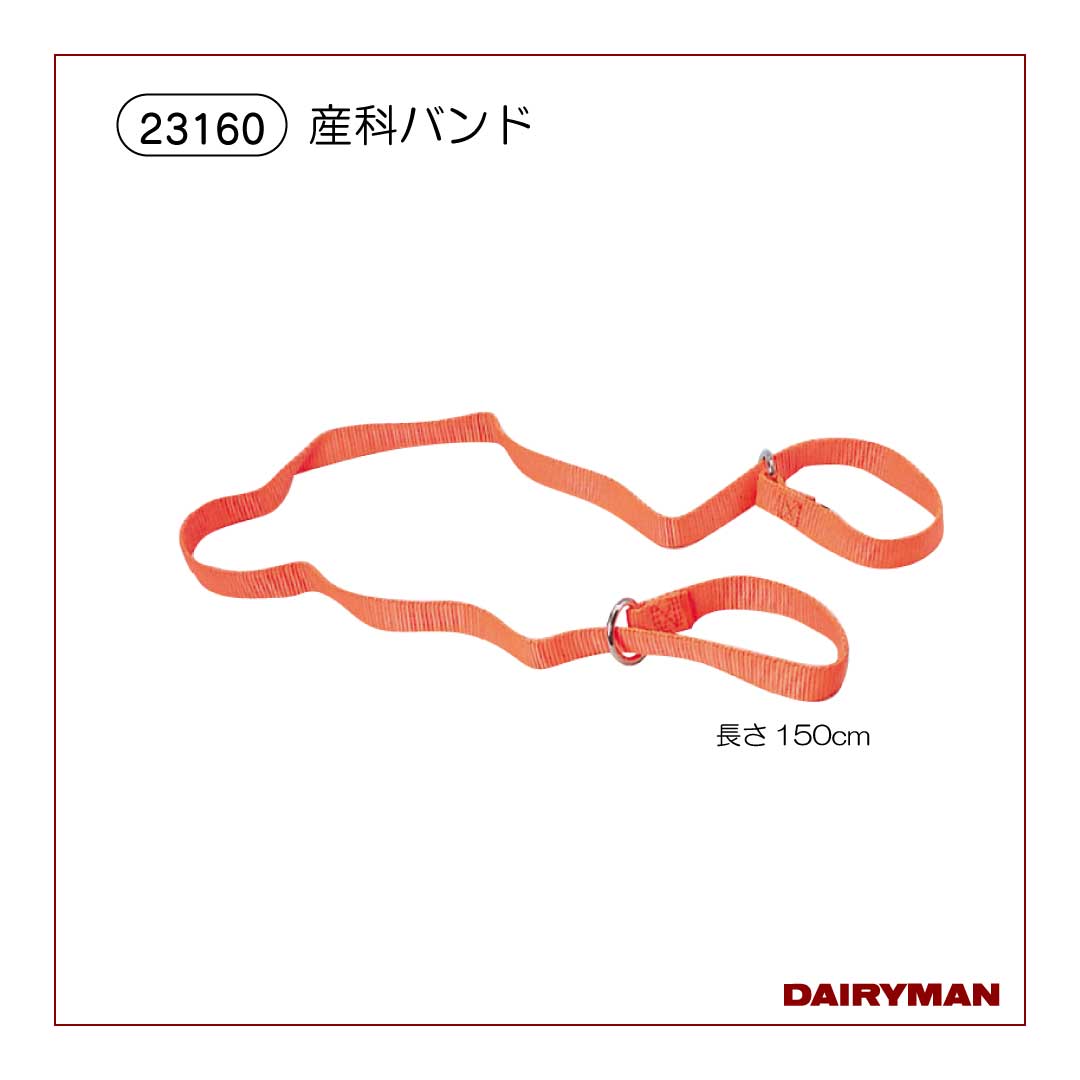 産科バンド【 23160 】｜デーリィマン社