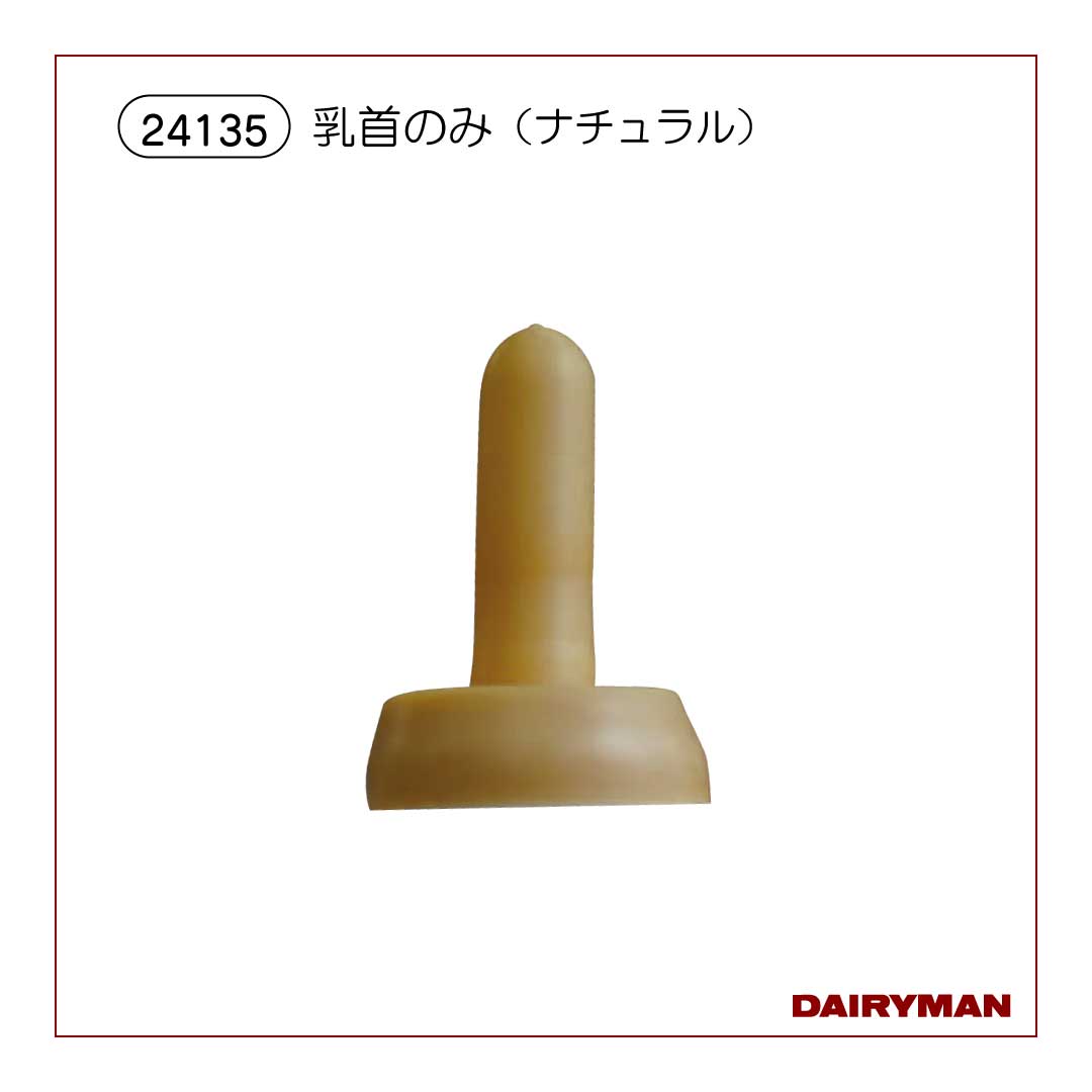 乳首のみ（ナチュラル）【 24135 】