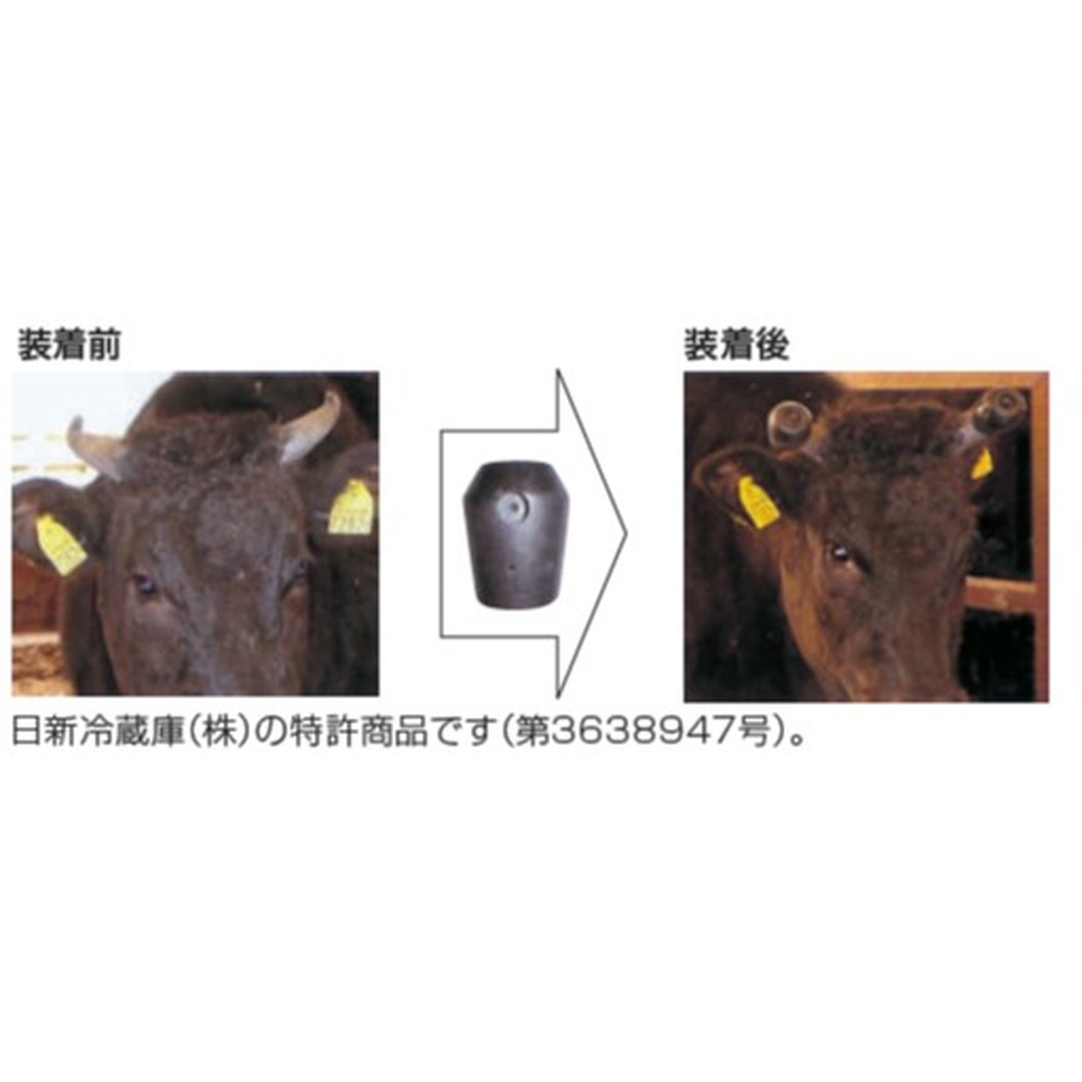 雄牛の角 Amazon | 雄牛の牛の山羊の角のガード快適で攻撃的な牛の角の